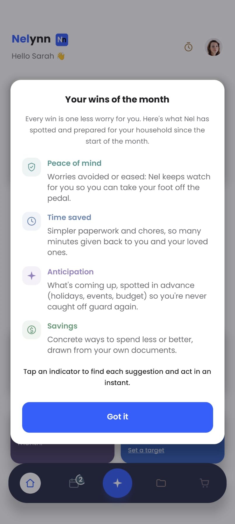The “Your wins of the month” window explaining the four indicators: Peace of mind, Time saved, Anticipation and Savings, with the Got it button.